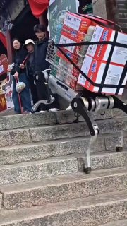 כלב רובוט עובד בסין היה עמוס מעט, אבל זה לא מנע ממנו להתמודד עם המדרגות