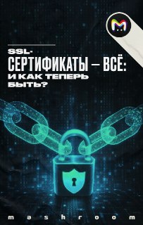 Новый вызов для российского сегмента интернета — отзыв иностранных сертификатов безопасности. Под удар попали отечественные финансово-кредитные организации, промышленные гиганты и государственные сервисы. Всё началось с того, что пользователи не могли зайт