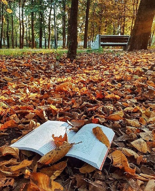 🍃﷽🍃 سنگ صبور🍃﷽🍃: دوران روزگار بـه ما بگذرد بسی گاهی شود بهار و دگر گه خزان شود حضرت_سعدی پاییز_در_راه_است🍂🌹 @sangesabur 🌹🍂