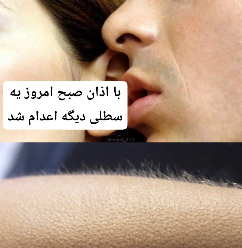 معیار🎒: مجید آدینه یکی دیگه از تروریست‌های ۱۸ و ۱۹دی با اذان صبح امروز اعدام شد