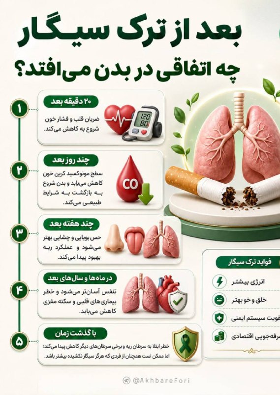 آخرین خبر مازندران: ♦️بعد از ترک سیگار چه اتفاقی در بدن می‌افتد؟🔻در سایت ، تلگرام ، روبیکا ، بله ، ایتا ، سروش ، اینستاگرام آخرین خبر مازندر