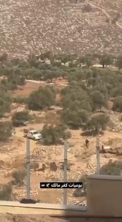 עקוב| מתנחלים מסתערים על אדמות בכפר כפר מליק, מזרחית לרמאללה.