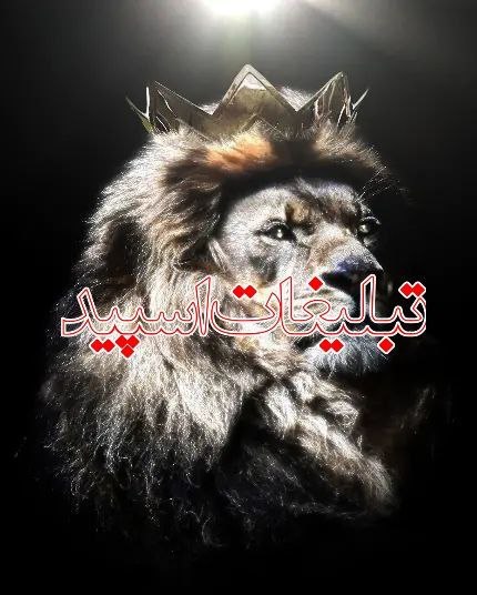 لینکدونی گروه چت گرگان: ❶﹚ نام : 🥂کافه چت 🍷❷﹚ نو؏ تبلیغات : #telegram❸﹚ توضیحات :━┅┅ ✦ ┅┅━• توضیحات :《🍃 ﷽🍃》 🌹☕️ خوش اومدین ✬☕️☕️بـے جنبہ✬⇚نیاد⇛✬