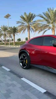 Ferrari PuroSangue