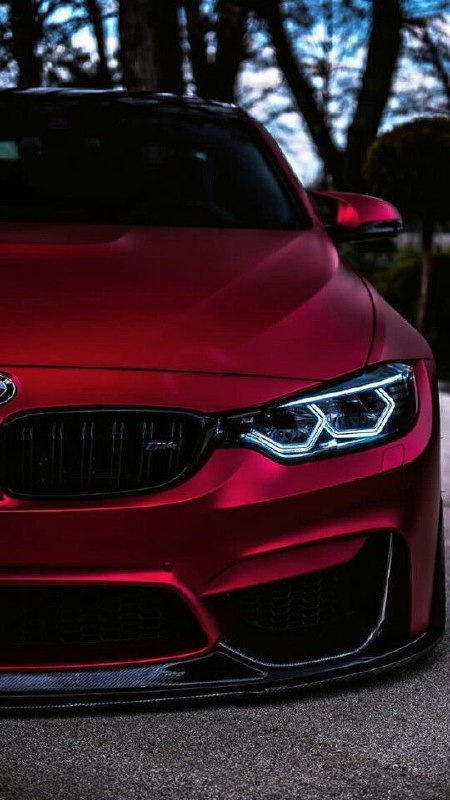 https://t.me/bmw_mpower_club