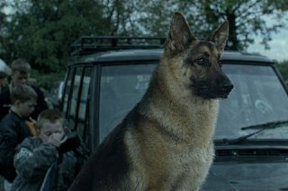 Жителя Ставрополья оштрафовали за оскорбление цыган в мессенджере МахКак сообщили в пресс-службе суда, 21 февраля мужик бухал у себя дома и в определенный момент зашел в группу «Культурный Центр Цыган» в отечественном мессенджере МАХ. Далее он начал писать