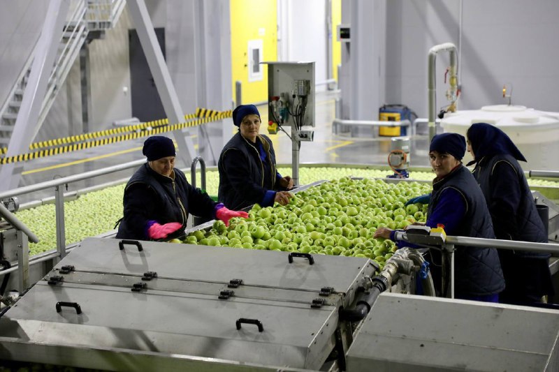 📊 Мощности хранения сельхозпродукции в Дагестане в 2026 году будет увеличены до 60 тысяч тонн фото