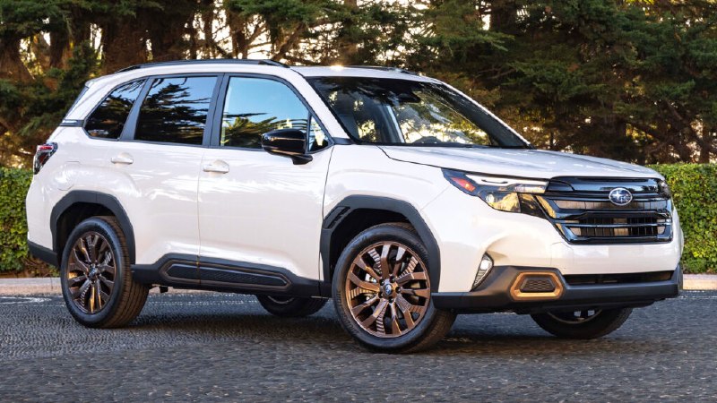 У Subaru неловкий момент: у новых Forester объявлен отзыв из-за панорамного люка