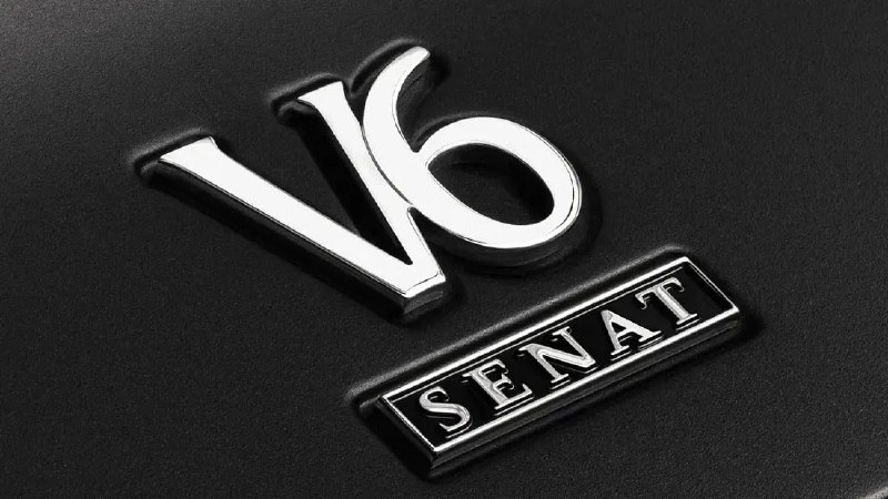 Первые фото российского Senat 900 — седан на базе Hongqi H9