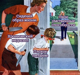 Чем молодой мозг отличается от зрелого — и как отсрочить угасание умственных способностей? Отвечает эксперт: https://lentach.media/c6zHr