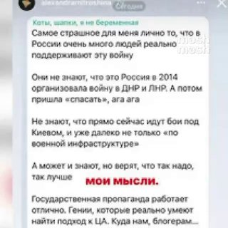 Саша Митрошина отправила 20 млн рублей на СВО, благотворительный турнир по боксу памяти Героя России Дамира Исламова и футбольные соревнования ФК ZOV — хотя раньше ходила на митинги в защиту Навального* и публично критиковала спецоперацию.По данным Mash, в