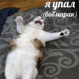 санктрум рисует