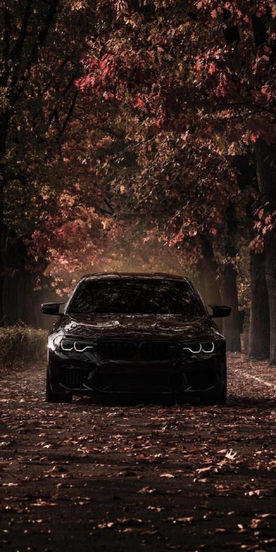 https://t.me/bmw_mpower_club