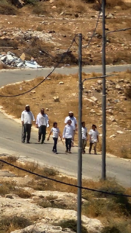 מתנחלים מסתערים על אזור שייח' עמאר, דרומית מזרחית לעיירה דיר דיבואן, מזרחית לרמאללה.
