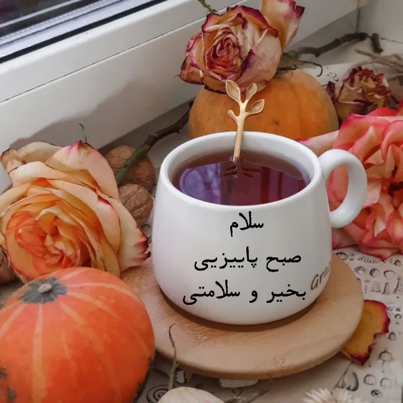 متن صبح بخیر شب بخیر: آرزو می کنم، زیباترین و محال‌ترین آرزویت با مصلحت خـــــــــدا، گره بخوره...سلام صبح پاییزی بخیر و سلامتی🪴.