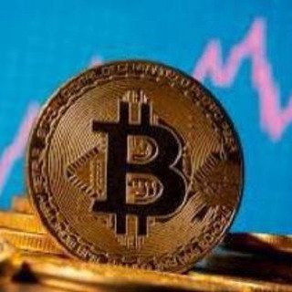 DARK_WEB_UPDATEZ Telegram Group Link