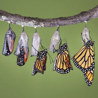 تکنسین ذهن خود باشیم Telegram Group Link