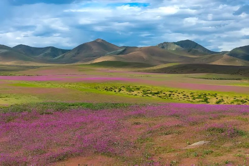 Иллюстрация к посту канала آکادمی جغرافیا