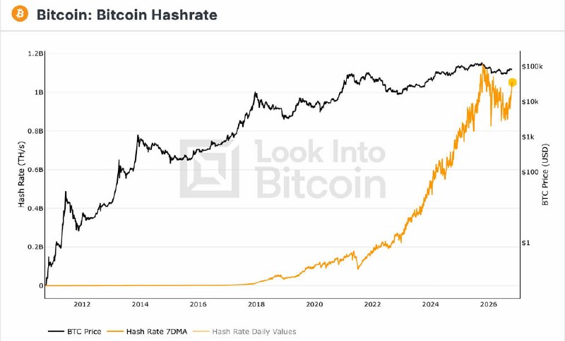 שיעור ההאש ברשת ה-BTC ממשיך להתאושש.