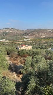 דחוף: דחפורים של צבא הכיבוש הורסים דירת מגורים וחנויות מסחריות ברחוב אנזה, דרומית לעיר ג'נין.