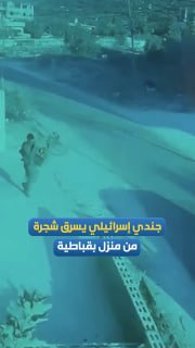 חייל ישראלי גונב עץ מתוך בית פלסטיני בעיירה קבטיה, דרומית לג'נין.