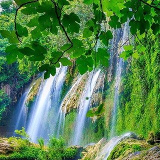 News-Ukraine🇺🇦 Telegram Group Link