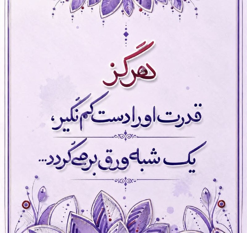 خاطرات خانه ی پدری: گلسرخی با گلبرگهایی از یاس🌺https://t.me/gsbga_yas@Gole_Sorkhi_ba_golbargi_az_yas