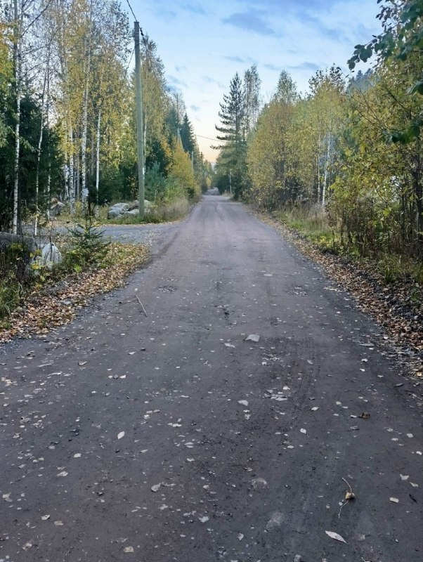 Image from a post by Daily Карелия