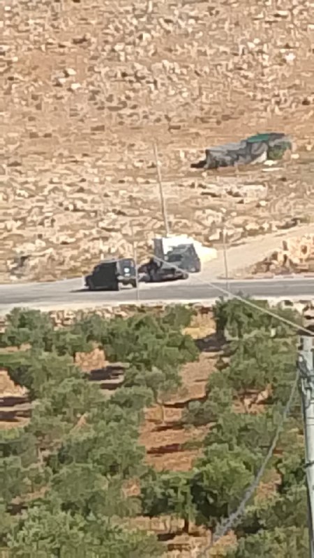רשת חדשות ירושלים