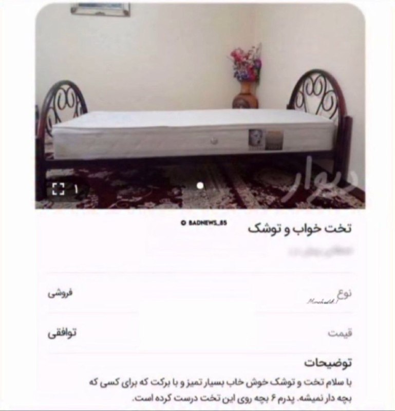 ناب کوییز | Nab Queiz: این چه سمی بود دیدم