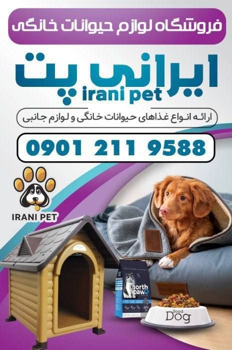 🎙️🎞️ رستمکلانیوز 📺🎬: 🐾با عشق برای دوستداشتنیترین عضو خانواده🐾در فروشگاه ایرانی پت، انواع غذاها، لوازم جانبی، و وسایل مورد نیاز حیوانات خانگ