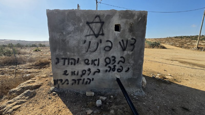ניצן שפירא