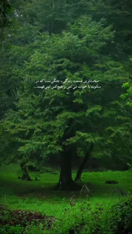 تک_عکس: رسانه پست
