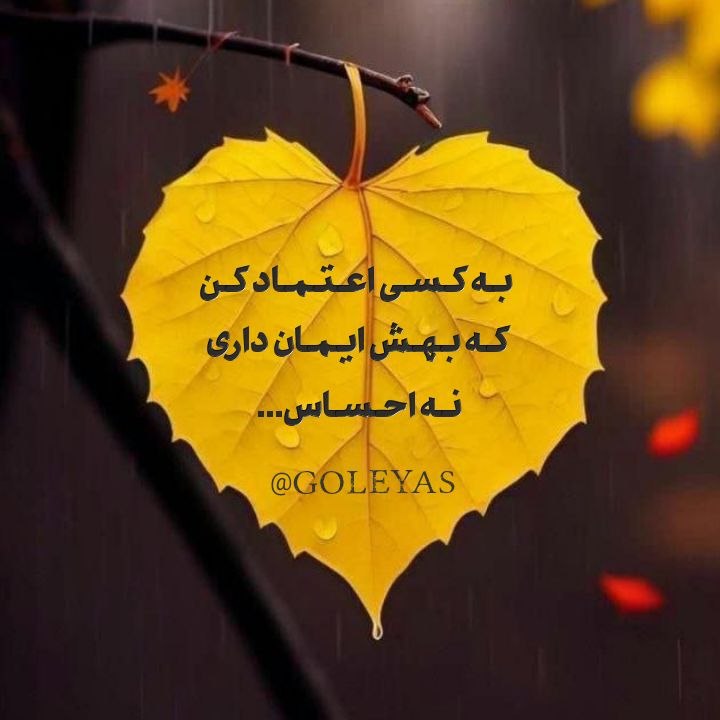 متن‌نگار: به کسی اعتماد کنکه بهش ایمان داری نه احساس ...➖➖➖➖➖➖➖➖➖➖طراح: گل یاسمتن نگار | @matnnegar 🆔