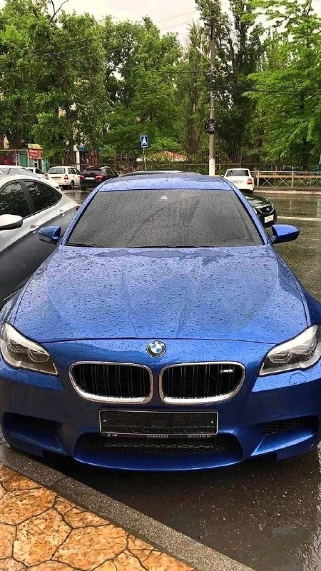 https://t.me/bmw_mpower_club