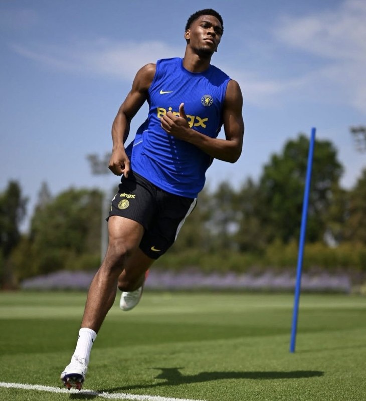 CHELSEA CF: ادوارد آرونز، گاردینمتوجه شدم که کریستال پالاس برای انتقال احتمالی جاش آچیمپونگ با چلسی گرفته است. با این حال، چلسی حاضر