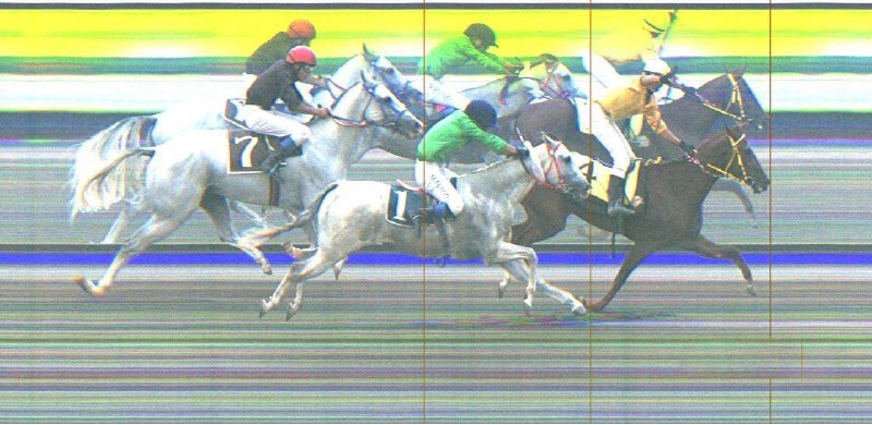" خبرگزاری اسبدوانی ": 📸 تصویر فتوفینیش کورس چهارم🏇 @HorseNews 🏇