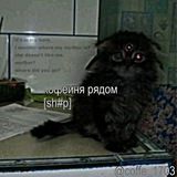 кофейня рядом [shop]