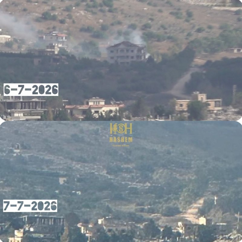 עלי שועיב - חדשות הגבול 🇱🇧