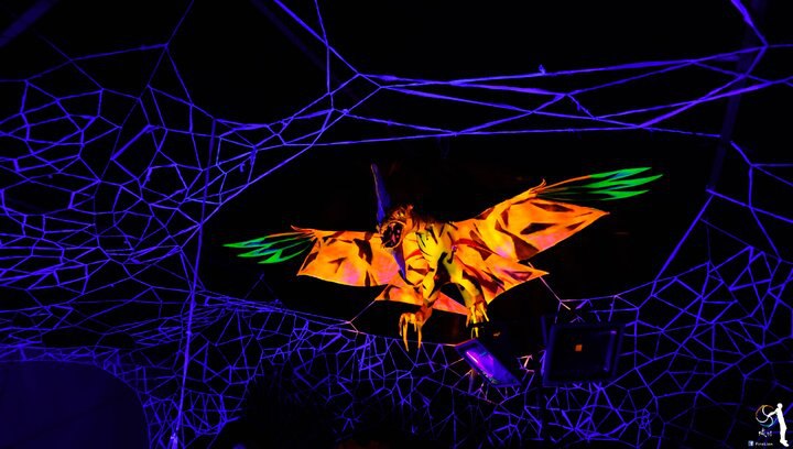 漫遊在歐洲極粹藝術之境 – 德國鳳凰火舞藝術節