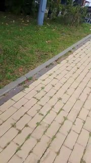 В Новой Москве пятиклассник ранил ножом учителя. Это третье нападение в российских школах за два дняУченик пятого класса школы № 1392 имени Рябинкина в поселке Марьино принес в здание нож и ранил педагога. Учителя госпитализировали, его жизни ничего не угр