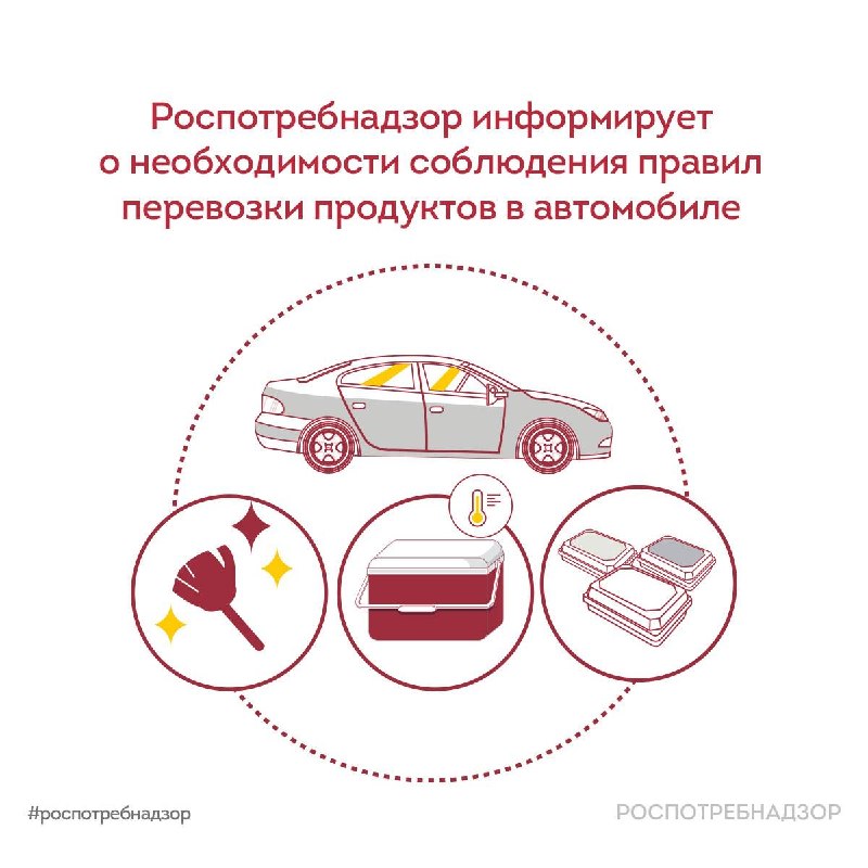Роспотребнадзор дает рекомендации, как избежать быстрой порчи еды в замкнутом пространстве машины