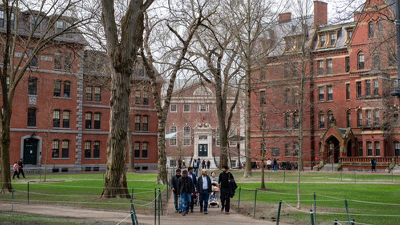 Trump says he's revoking Harvard's tax-exempt status: 'It's what they deserve!'