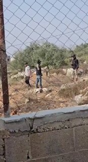 כנופיות מתנחלים ישראליות מסיגות גבול לבית פלסטיני בכפר יאסוף, מזרחית לסלפית, בגדה המערבית .