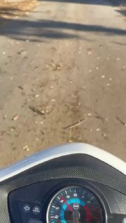 צעירים לבנונים הצליחו להגיע לכיכר כפר תבנית בדרום לבנון, במקביל לפגיעה של הכיבוש בפגזי ארטילריה.