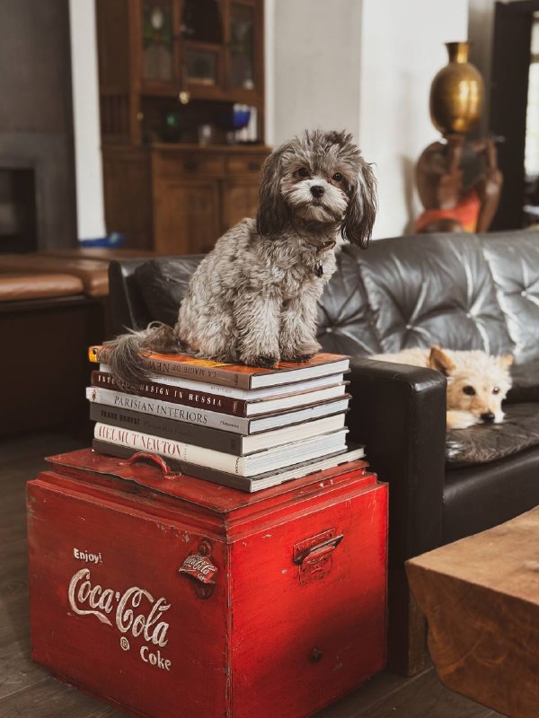 Один из самых любимых рум-туров, который произвёл на меня пленительное впечатление, пересмотренный уже десятки раз, по удивительному дому Даниила Б... - изображение 9 - рум, даниила, один