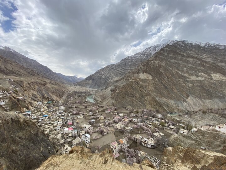 拉達克日記 ｜深入一個村落