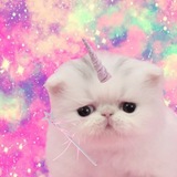 Keito blogss Xdd