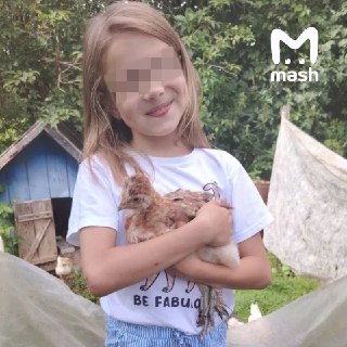 Задержан подозреваемый в похищении девятилетней Саши в Смоленске. Школьницу искали трое суток — ребёнка нашли в квартире предполагаемого похитителя.24 февраля в районе 8:00 утра Саша вышла выгулять домашнее животное на улице Маршала Еременко. Обратно она н