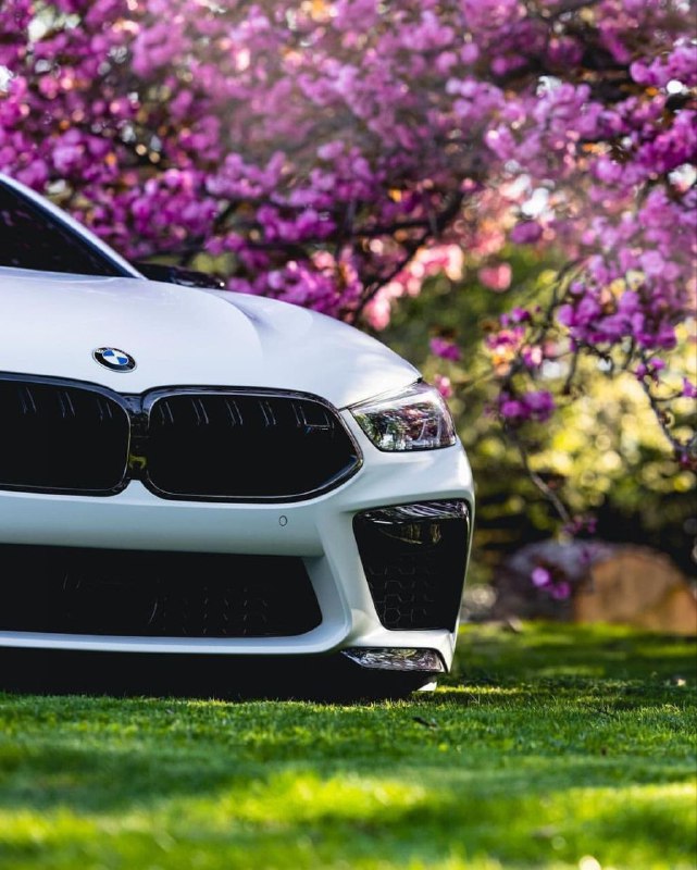 BMW M8 F82